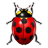 Bug Icon